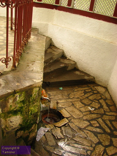 2008-08-29 16-30-55.JPG - 2008-RO>Borsec